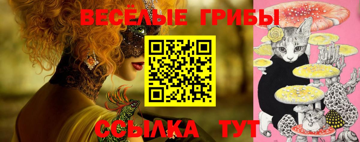 Псилоцибиновые грибы ЛСД Сатка